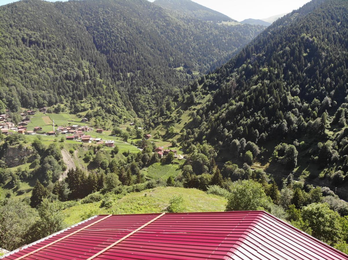 Badul Apart Aparthotel Uzungöl Kültér fotó